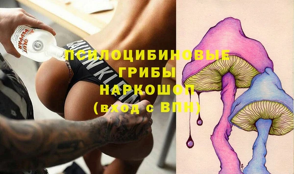 прущая мука Нея