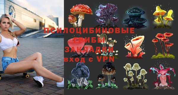 прущие крисы Нефтекумск
