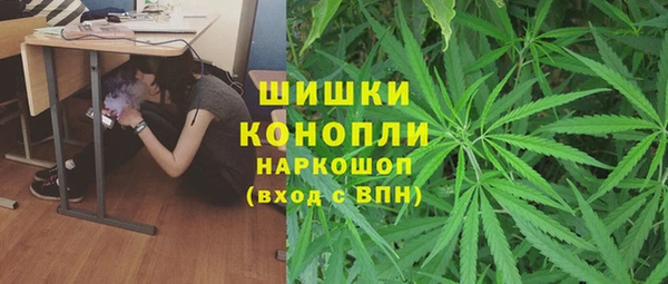 прущая мука Нея