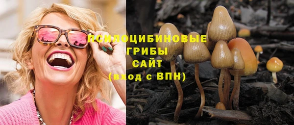 не бодяженный Нефтегорск